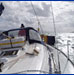 Cruising and Sailing on Bavaria 36